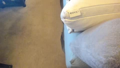 Snapshot of chris_martinson chatting on 02/27/25, 12:43 Chris Martinson XXX online show from 02/27/25, 12:43