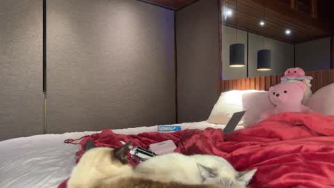 Christina Sage online show from 09/18/25, 04:03