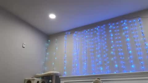 Christy Love online show from 12/29/24, 01:24