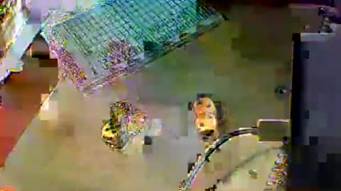 chubbyboy1986 online show from 10/17/25, 10:01