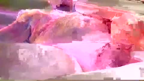 chummy50222 online show from 12/08/24, 04:14