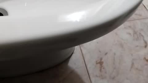 ciccilli online show from 10/08/25, 08:17