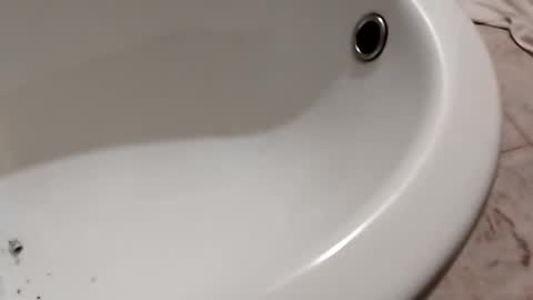 ciccilli online show from 10/26/25, 11:20