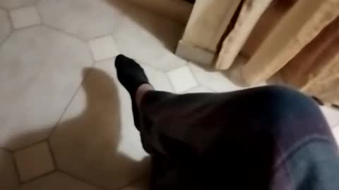 ciccilli online show from 10/28/25, 10:12