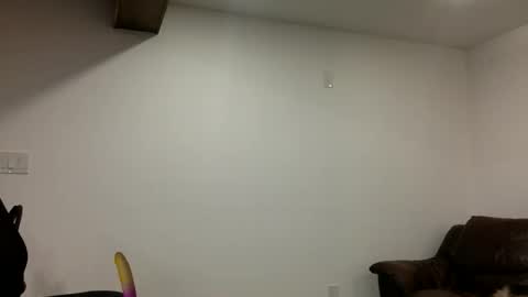 Clarke Cock online show from 03/21/26, 11:15