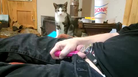 Snapshot of claygilmeriii chatting on 12/18/24, 12:21 Clay online show from 12/18/24, 12:21