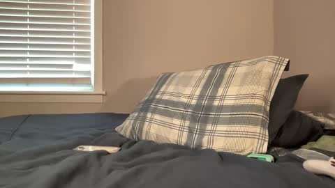 Clyde Austin online show from 04/15/26, 07:58