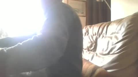 cock9635 online show from 12/28/24, 07:55