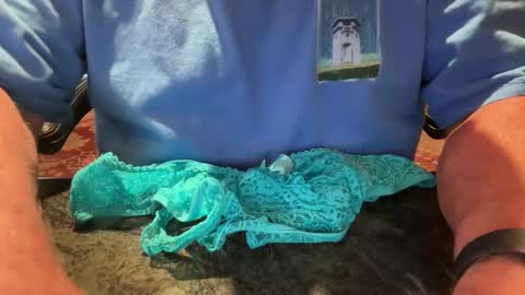 Cock 4u 247 online show from 04/17/26, 08:34