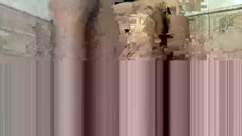 Snapshot of cockdoc4444 chatting on 10/15/25, 05:40 cockdoc4444 online show from 10/15/25, 05:40