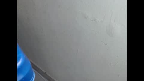 cockfanx online show from 02/21/25, 01:55