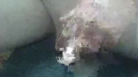 cocktoys online show from 02/02/26, 05:50