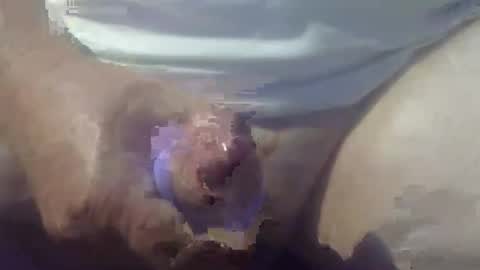 cocktoys online show from 03/14/26, 08:25