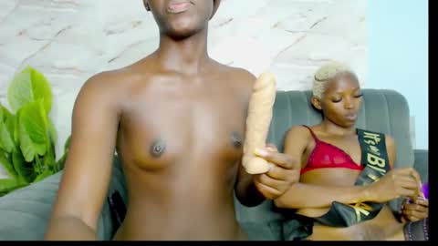 Snapshot of cocoakitty1 chatting on 09/23/25, 01:08 daniella online show from 09/23/25, 01:08