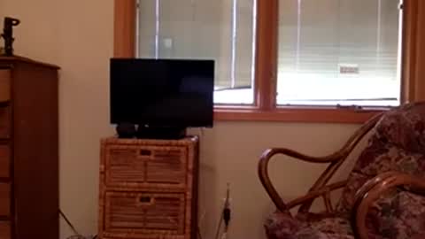 Snapshot of codebynova chatting on 11/08/25, 07:56 Code By Nova online show from 11/08/25, 07:56