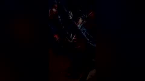 codyonit888 online show from 01/11/26, 01:27