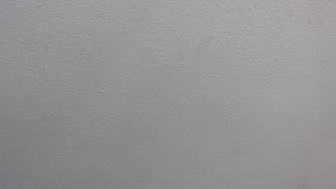 Snapshot of colombia_mommy_ chatting on 01/16/25, 12:31  GRETCHEN  online show from 01/16/25, 12:31