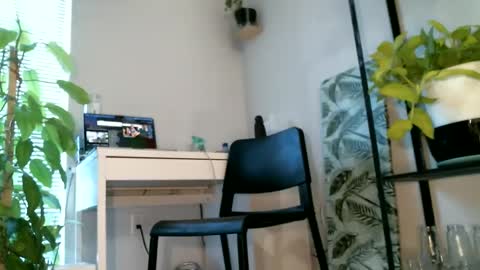 Noni online show from 02/28/25, 05:37