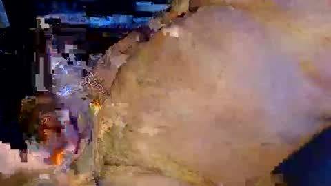 colourlight online show from 03/23/26, 04:55