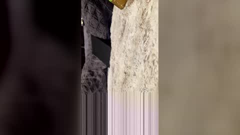 comeongirlts online show from 04/27/26, 04:21