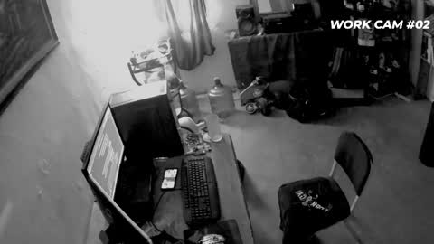 cometodani online show from 04/16/26, 08:20