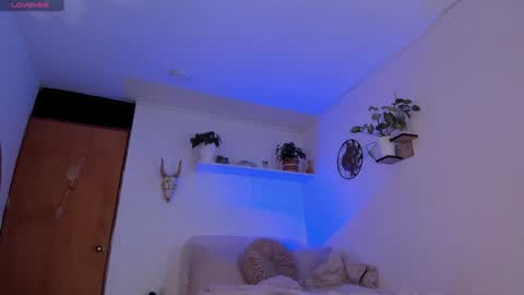 connie    online show from 01/20/25, 01:53