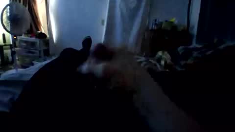 connlee10929154 online show from 01/16/26, 02:21