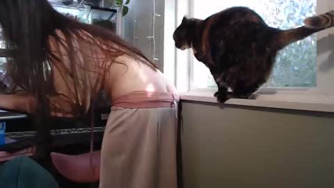 ANR Mommy online show from 09/26/25, 08:24