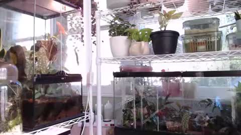 ANR Mommy online show from 10/06/25, 04:37