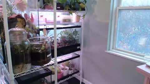 ANR Mommy online show from 11/09/25, 05:22