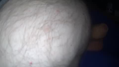 Harry 13 online show from 11/15/25, 02:57