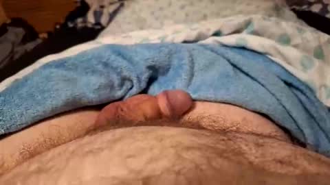 Harry 13 online show from 02/28/26, 06:36