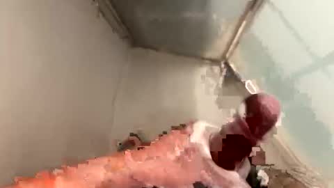 cookie_monster8593 online show from 04/20/26, 09:49