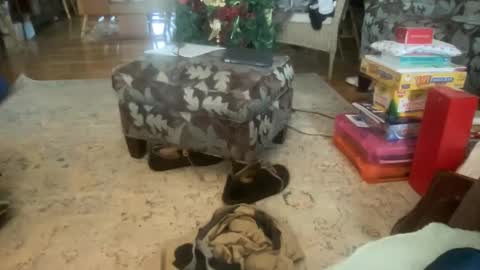 whatever you want it to be online show from 12/17/24, 07:15