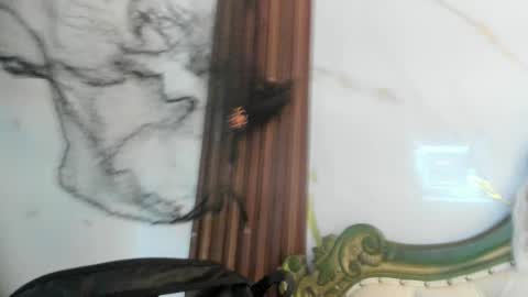 Coralie Bronson online show from 10/28/25, 08:44