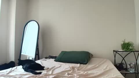 coriaddams online show from 07/12/26, 05:37