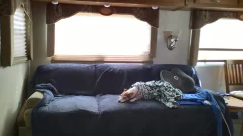 Chester  Melissa online show from 02/24/25, 06:15