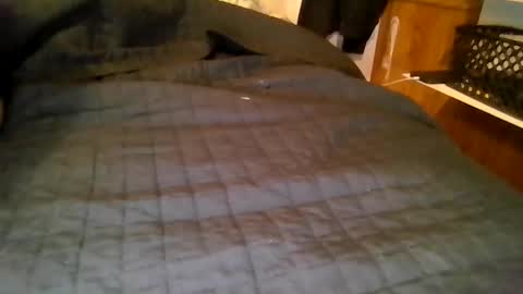 your local abrasive ALT couple online show from 03/19/26, 08:07