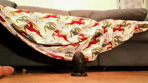 Andy sissy room online show from 09/26/25, 04:33