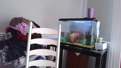 Fallen Angel 21 online show from 03/04/25, 05:56