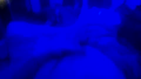 Snapshot of countrystudd chatting on 12/23/25, 08:12 Countrystudd online show from 12/23/25, 08:12