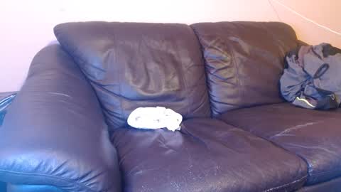 Tony online show from 03/01/25, 05:20