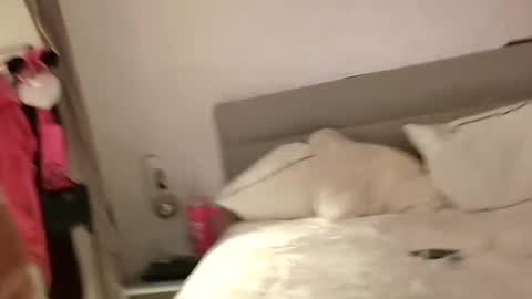 Snapshot of coupletoy97 chatting on 02/13/25, 06:48 Sandra and Tom online show from 02/13/25, 06:48