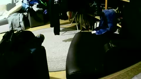 coyote017 online show from 01/27/25, 06:09