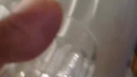 coyote017 online show from 05/10/26, 05:18