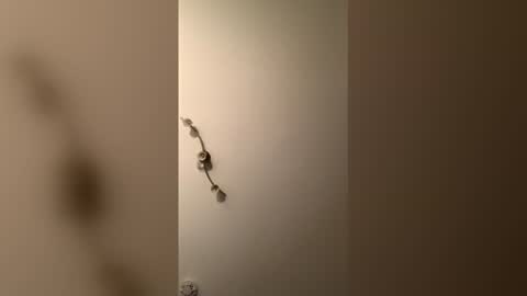 cp1a online show from 12/18/25, 08:37