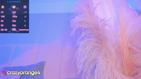 You can ask online show from 03/04/25, 01:17