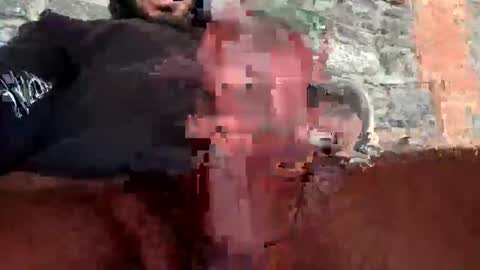 Crazyzac11 online show from 03/11/25, 06:41