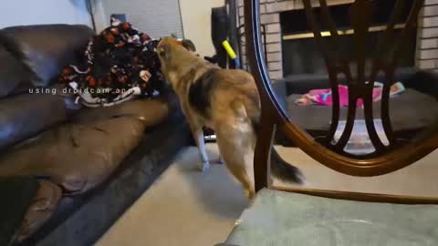 Snapshot of creeeping_death chatting on 09/27/25, 08:08 The hopeless romantic online show from 09/27/25, 08:08