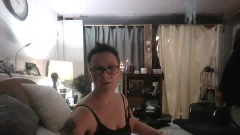 Tulip online show from 12/02/24, 04:53